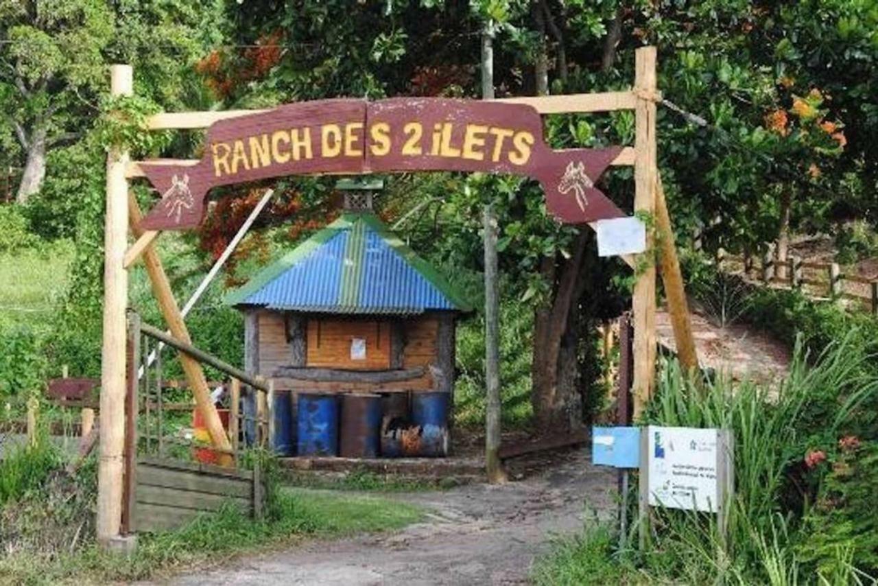 Logement Entier Au Soleil Couchant Deshaies Buitenkant foto